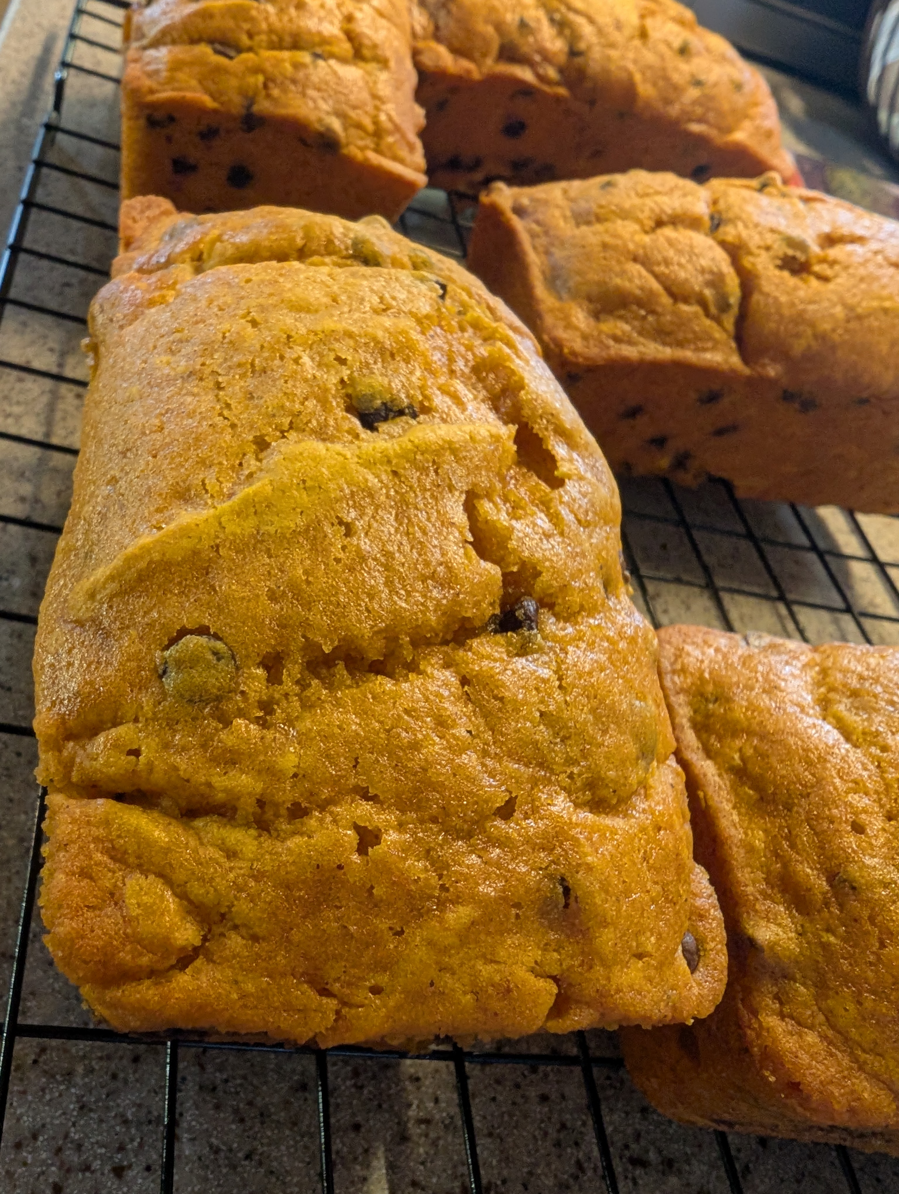 Pumpkin Chocolate Chip Bread